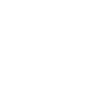 Styling Curated